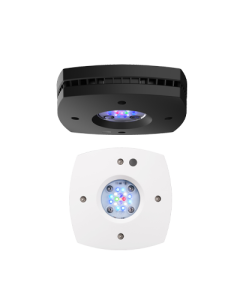 AI Prime 16HD Reef LED Lighting - Black/White