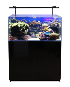 Aqua One MiniReef 120 Black/White Marine Aquarium System