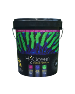 D-D H2Ocean Dosing Formula Reef Salt 23kg Bucket