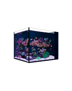 Red Sea DESKTOP Peninsula Nano Aquarium