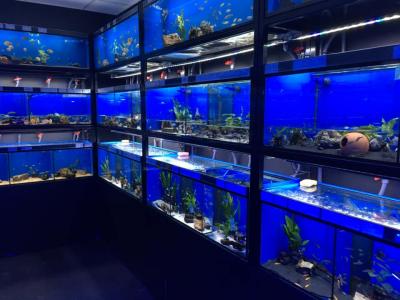 Are water changes necessary in a fresh water aquarium?