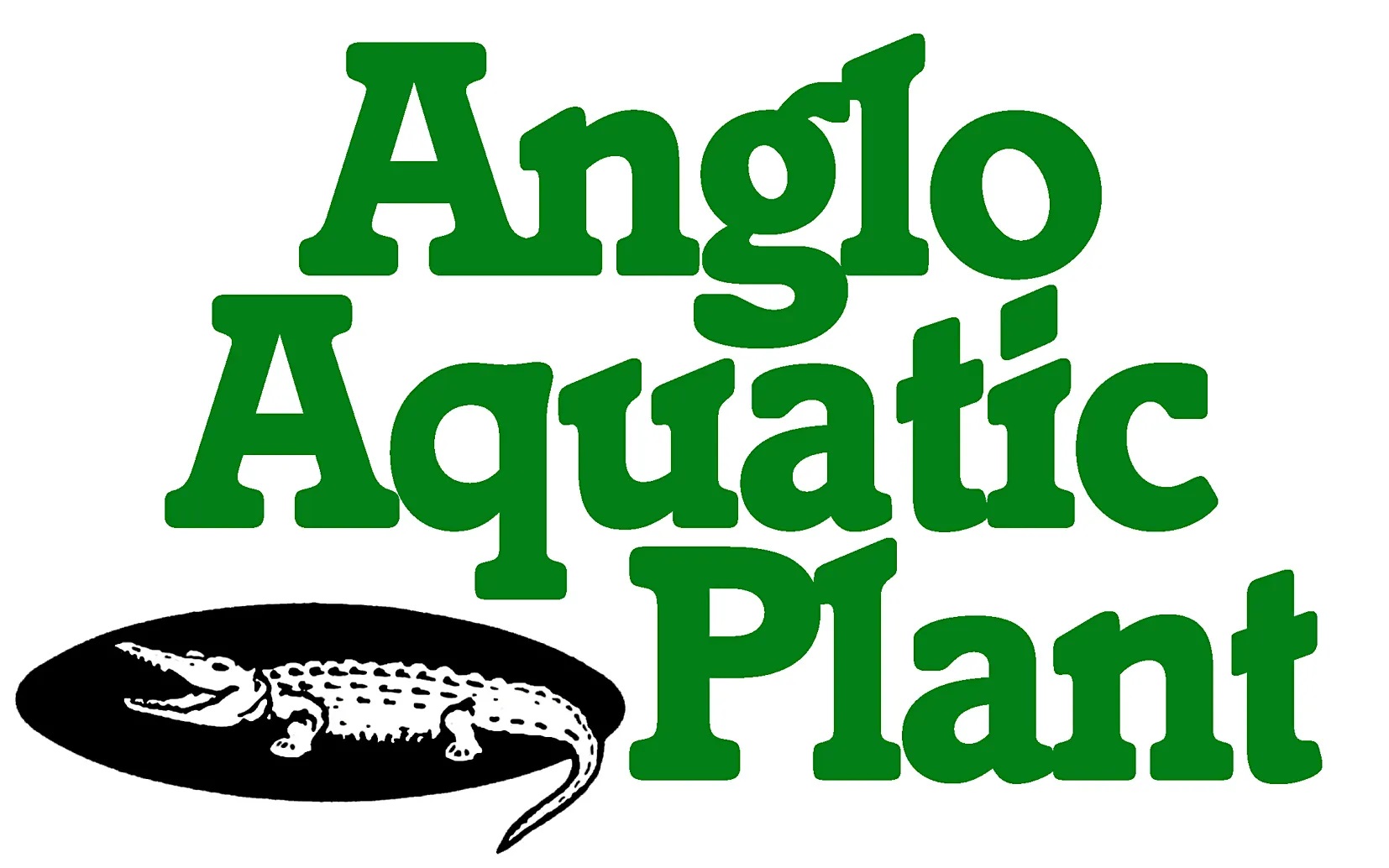 Anglo Aquatic Plant